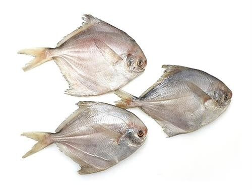 SILVER POMFRET  10X1 KG (250-300G)