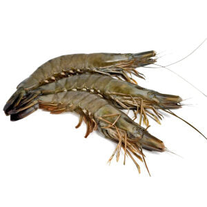 BLACK TIGER 8/12 head on 10 X 1 KG(net 800g)