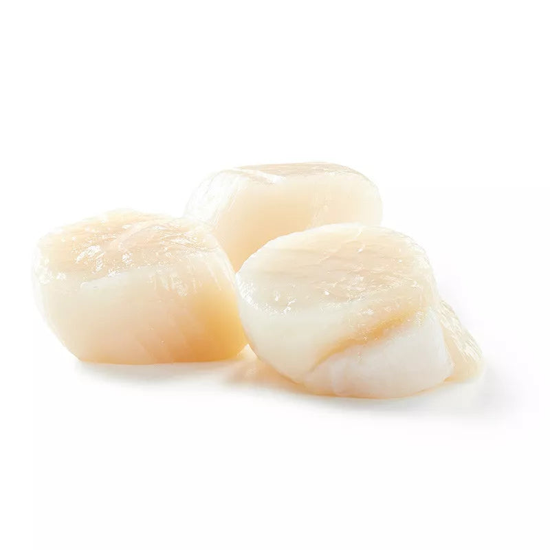 coquille vlees 1kg(net 800g)* 10