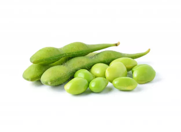Edamame 500g | 20 zakken